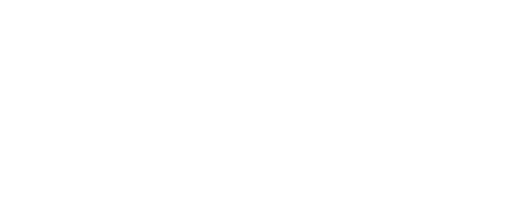 Falco Academy